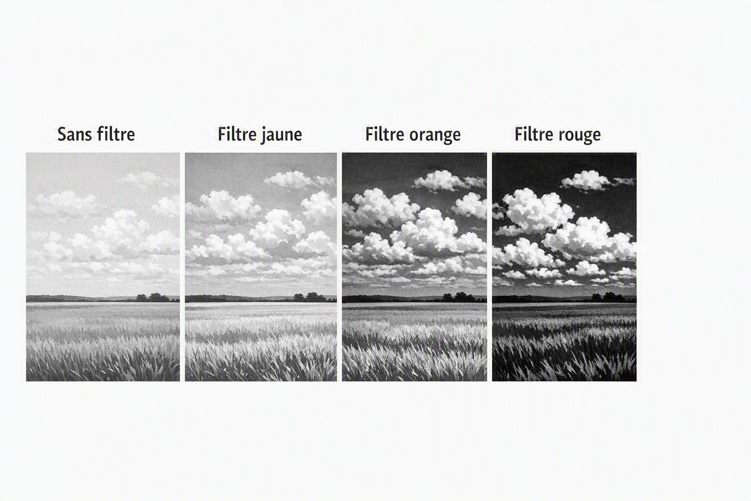  Filtres noir et blanc